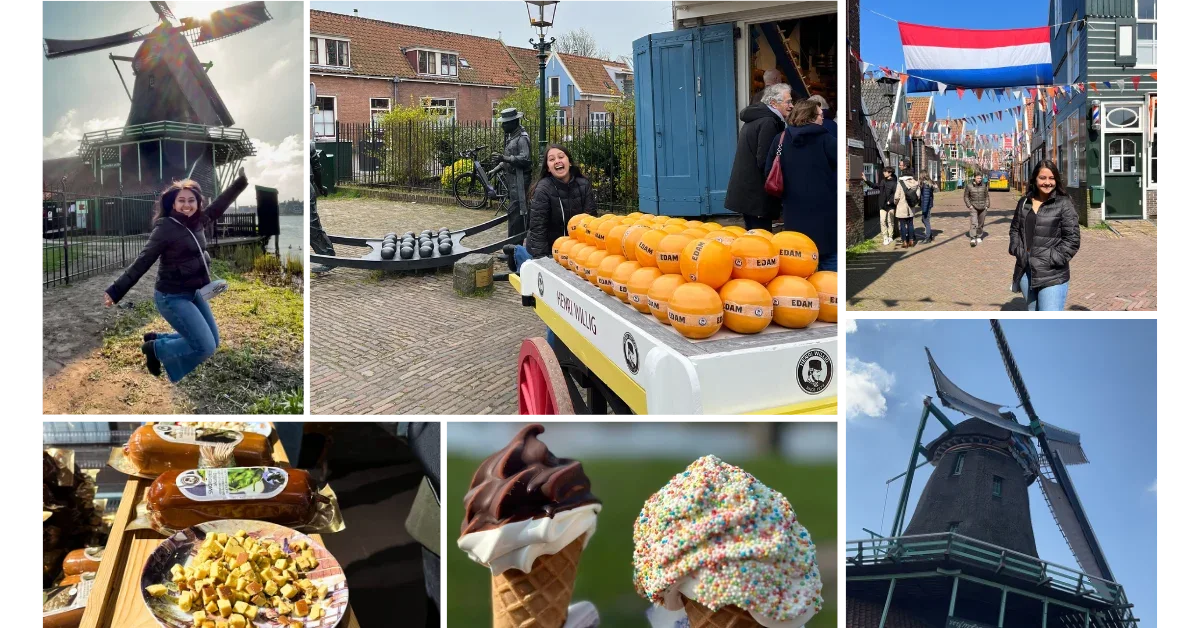 foodie-cheese-windmill-traditional-dutch-tour-amsterdam.webp