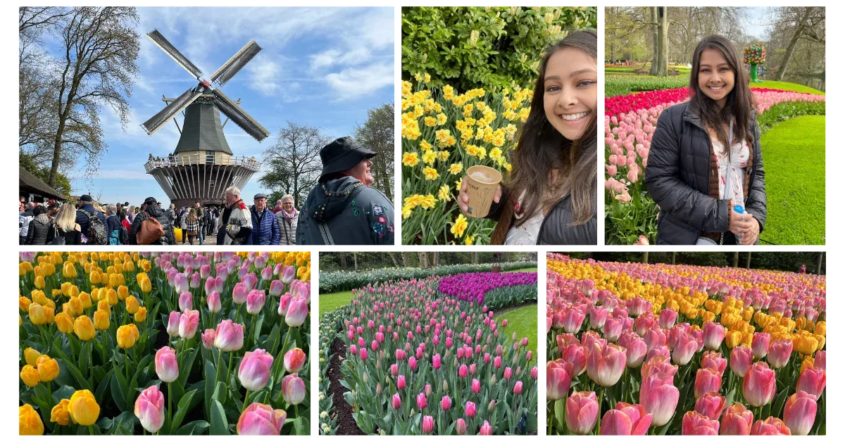 keukenhof.webp